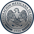 FMG Logo