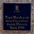 Tiger Rock