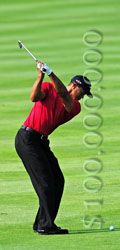 FedEx Cup