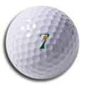 Encuesta Par 7