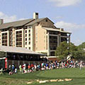LPGA