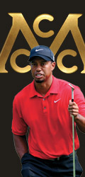 Tiger, Rory, Jordan