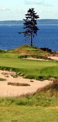 Tiger, Rory, Jordan