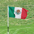PGAL